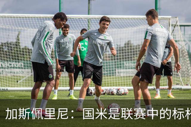 加斯佩里尼：国米是联赛中的标杆球队 明天我们全员均可出战